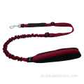 Material Bungee Leash Dog Luzes Personalizadas Penas Acolchoadas